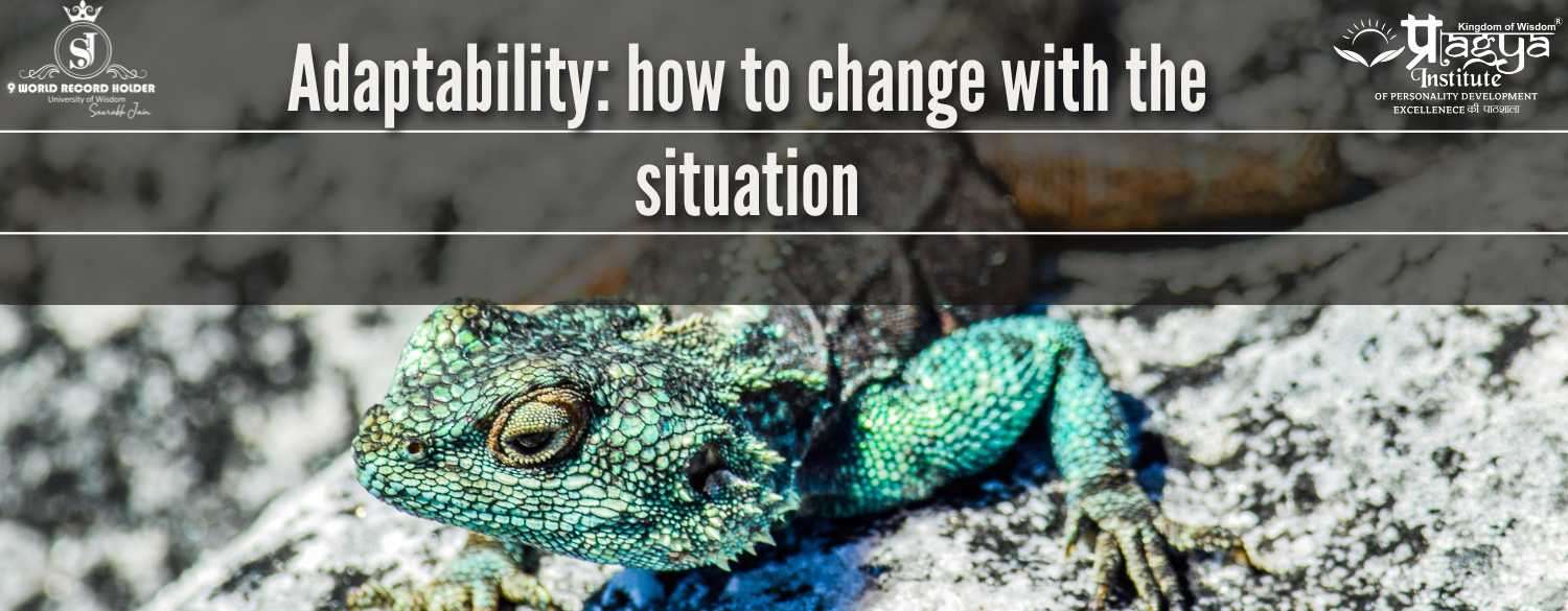 Adaptability: how to change with the situation